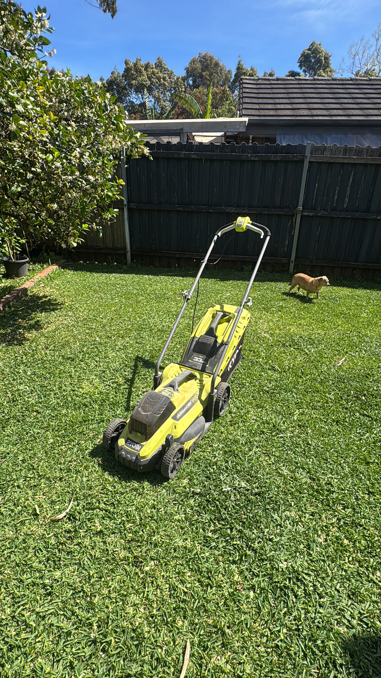 Ryobi 18V ONE+ Cordless Lawn Mower