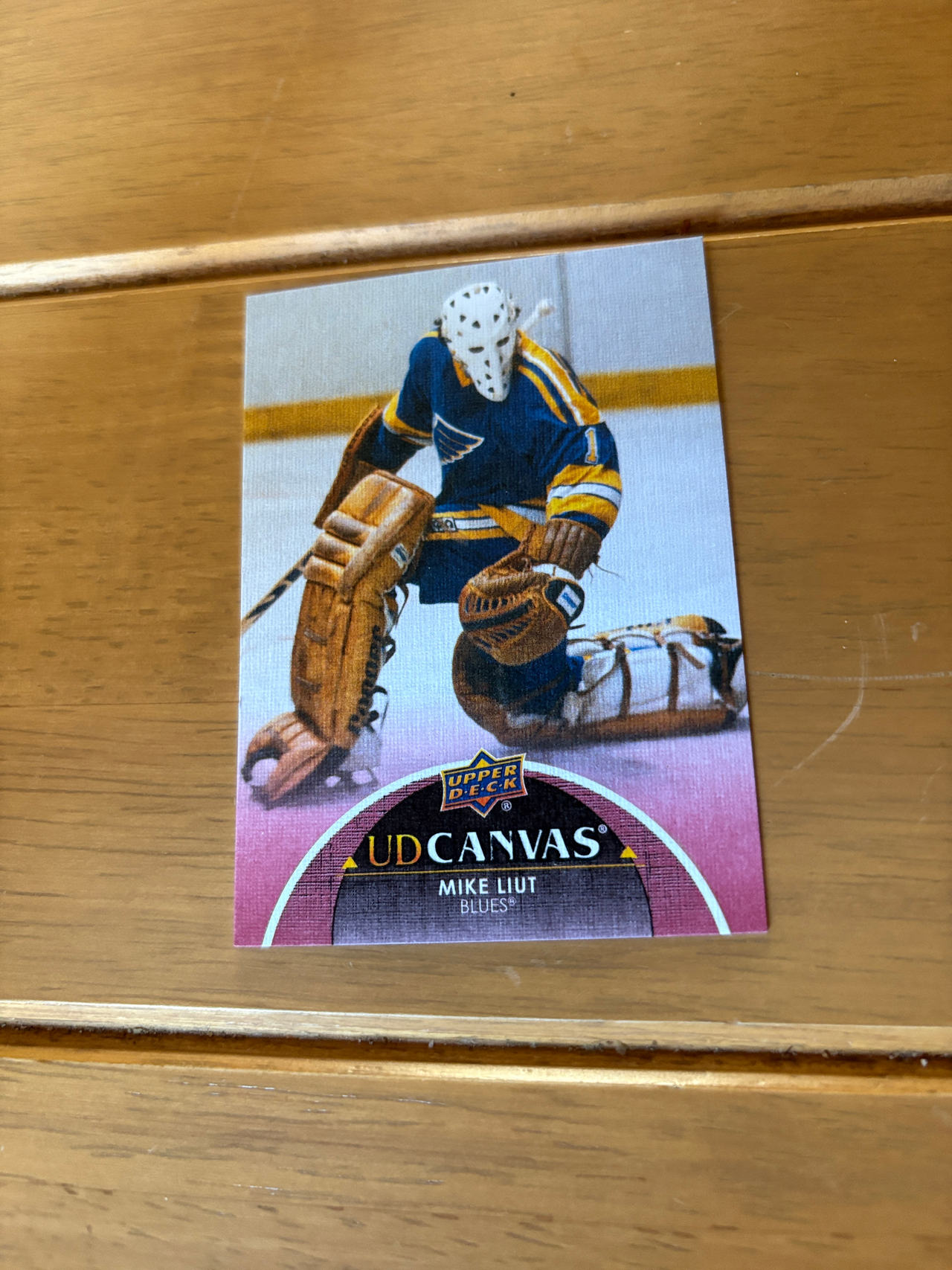 Upper Deck UD Canvas Mike Liut Hockey Card | St Louis Blues