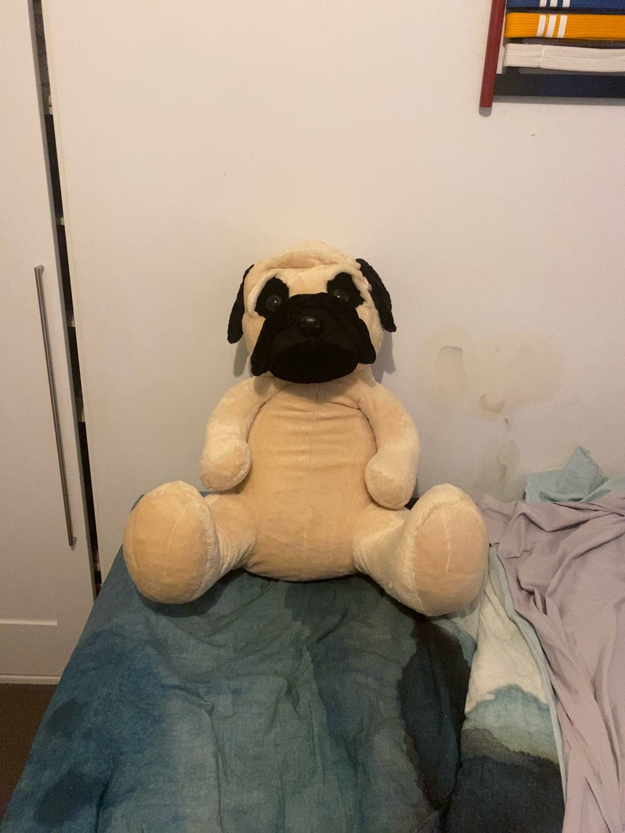 Aurora 15" Pug Plush Toy