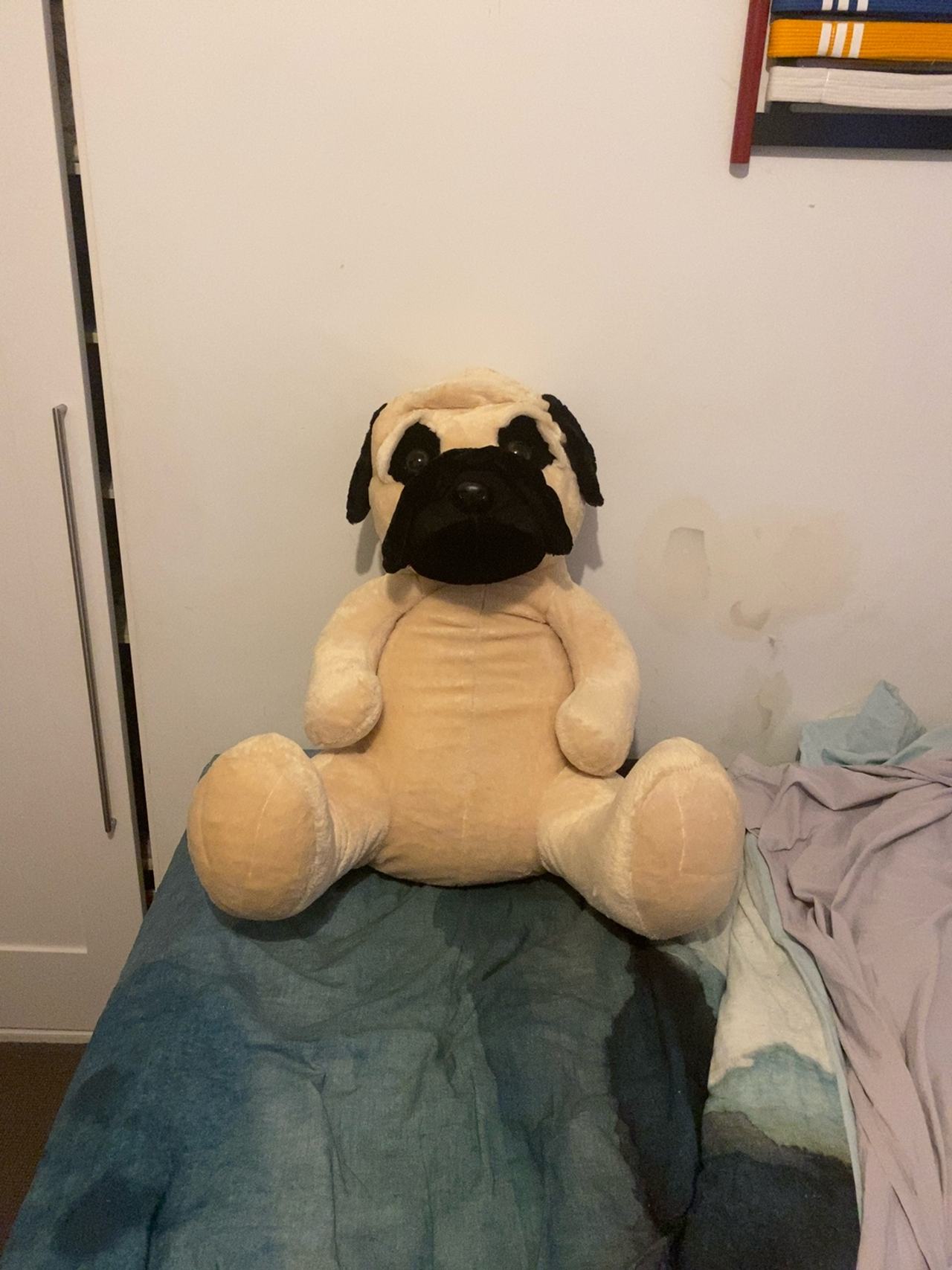 Aurora 15" Pug Plush Toy
