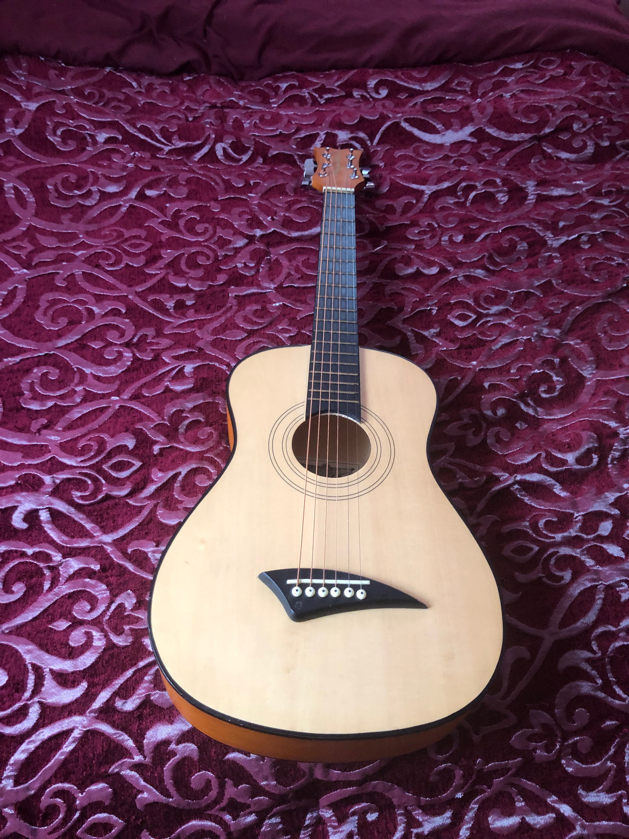 Acoustic Guitar