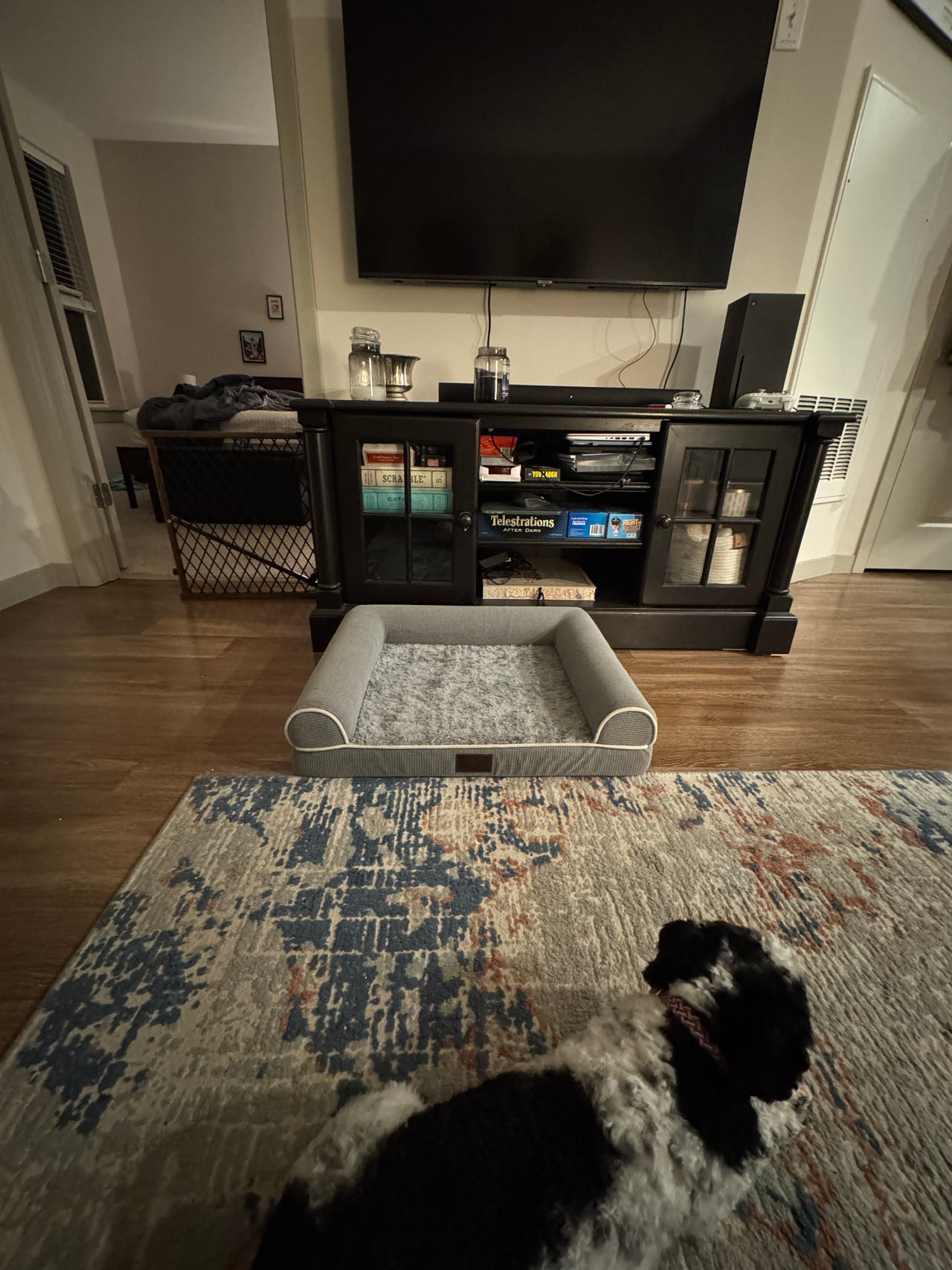 Orthopedic Dog Bed