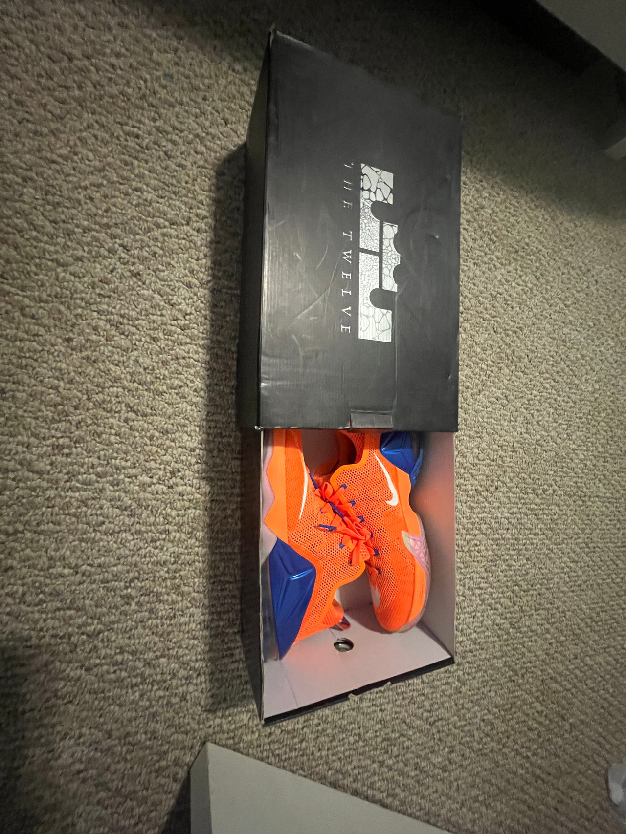 Nike LeBron 12