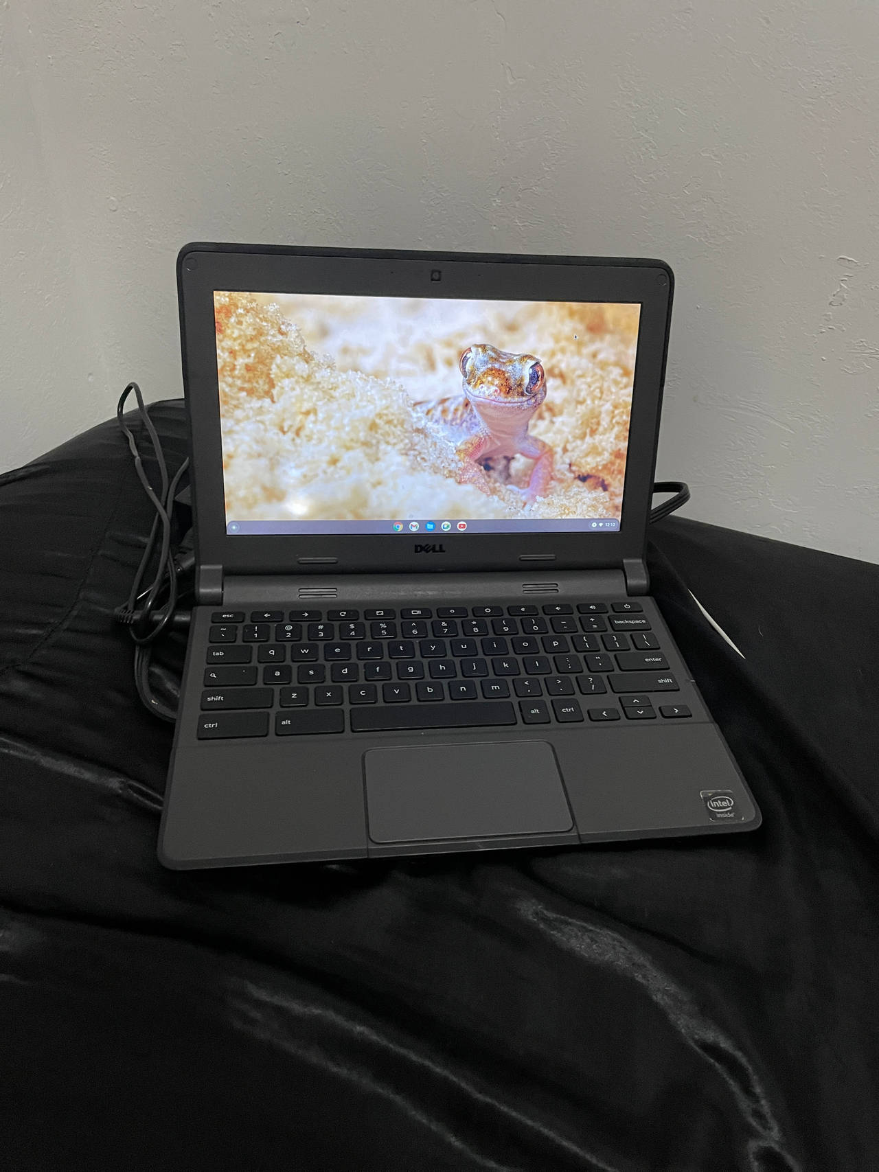 Dell Chromebook 11