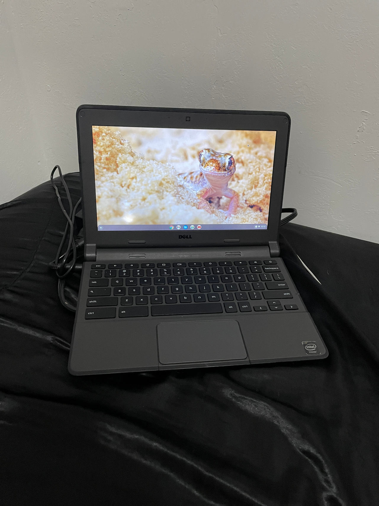 Dell Chromebook 11