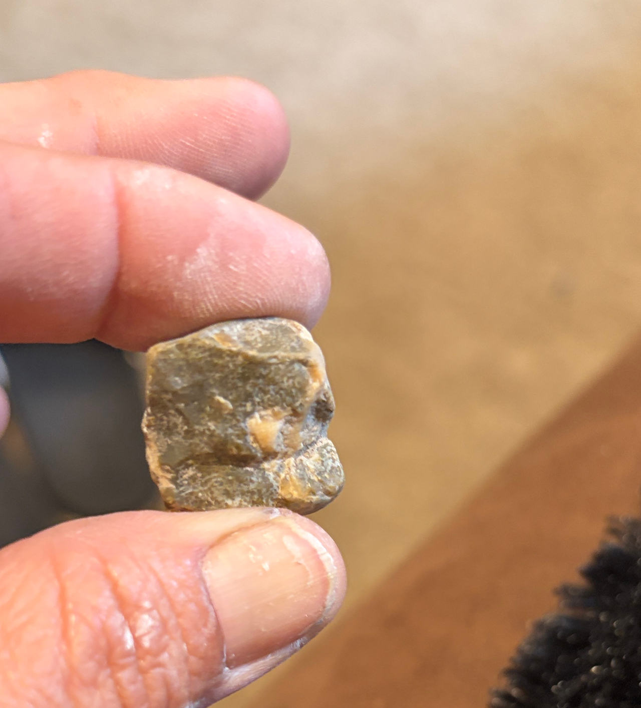Native American Chert Flake Debitage