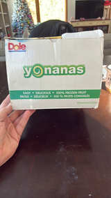Yonanas Classic Fruit Soft Serve Maker - Image 5