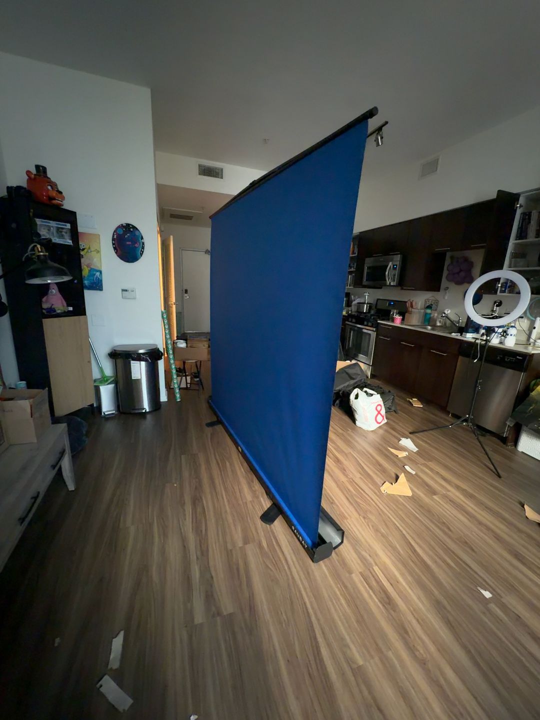 RAUBAY Retractable Blue Chromakey Backdrop