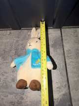 Kids Preferred Peter Rabbit Plush Toy - Image 5