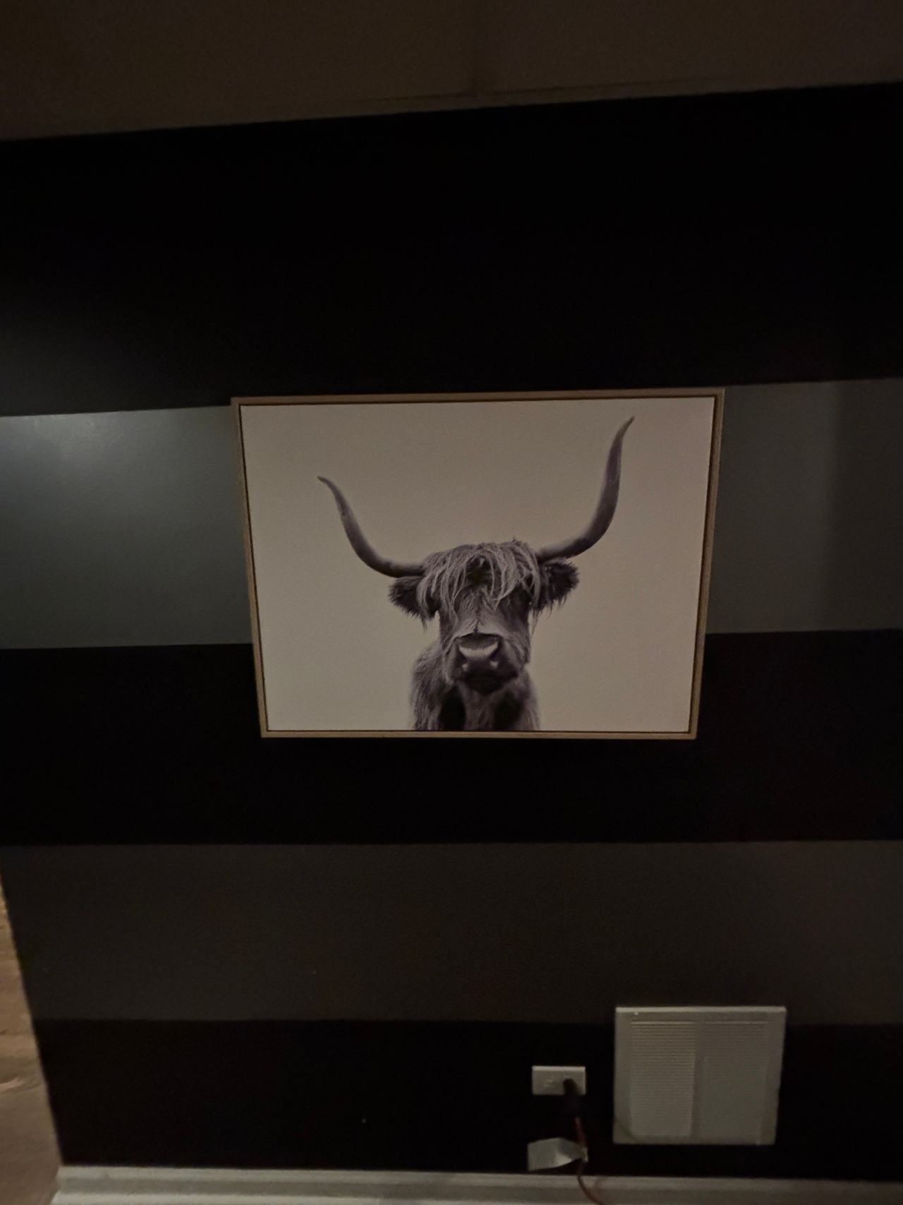 Highland Cow Wall Art