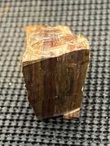 Petrified Wood Brown Slab - Image 3