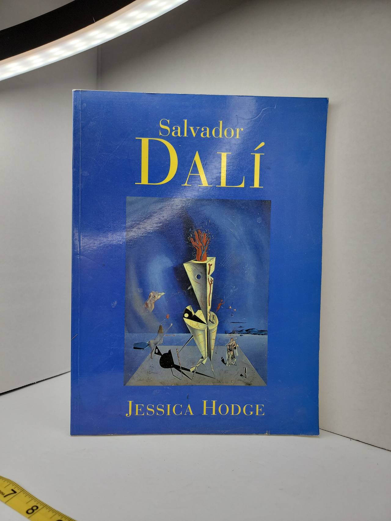 Salvador Dali by Jessica Hodge