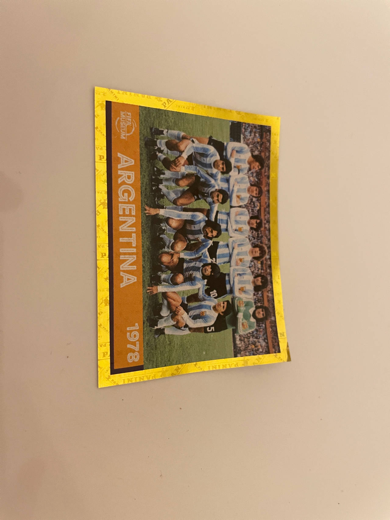 Panini World Cup Not a sticker