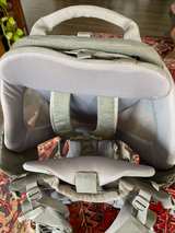 Thule Sapling Elite Child Carrier Backpack - Image 5