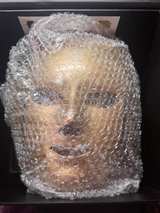 Predire X8 LED Face Mask - Image 3