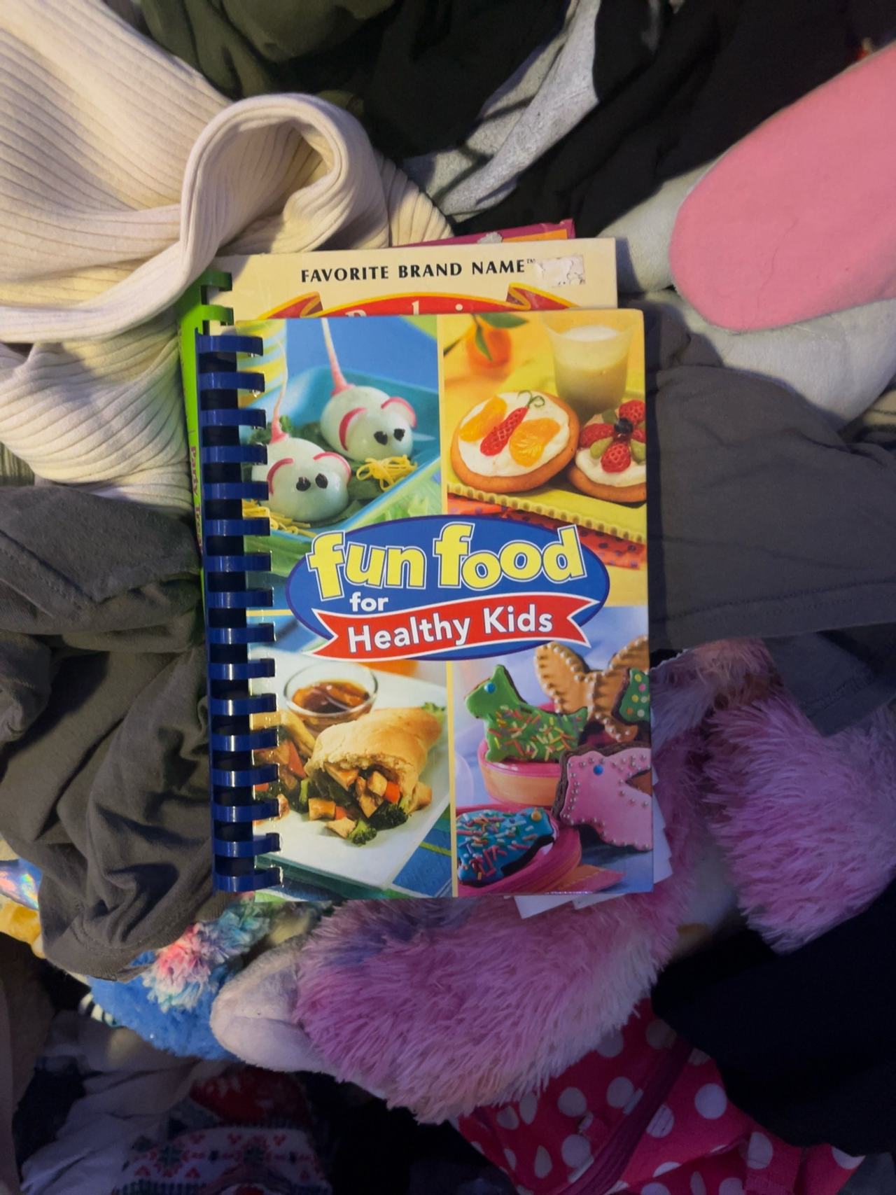Publications International Fun Food for Healthy Kids (Spiral Bound)