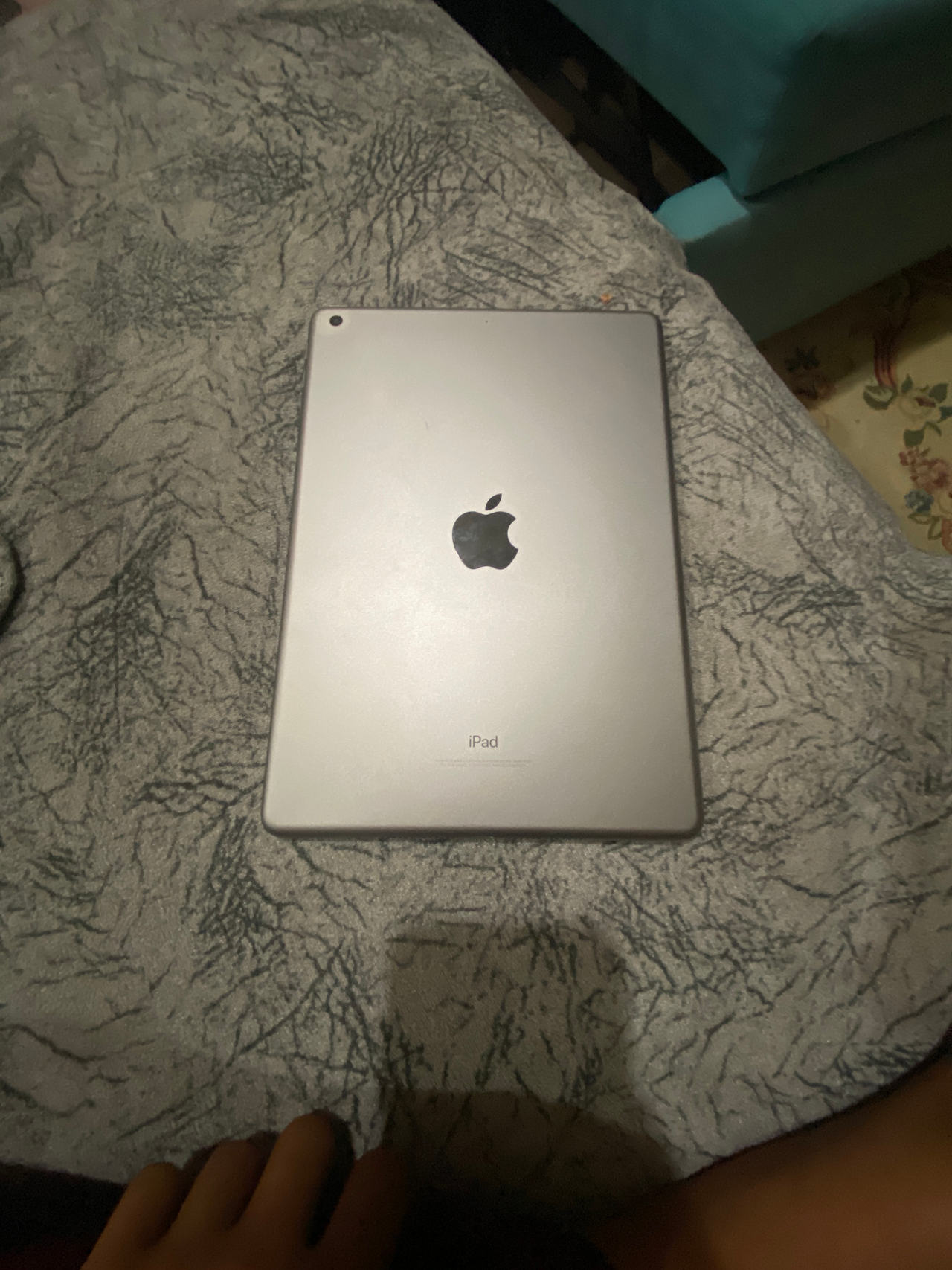 Apple iPad