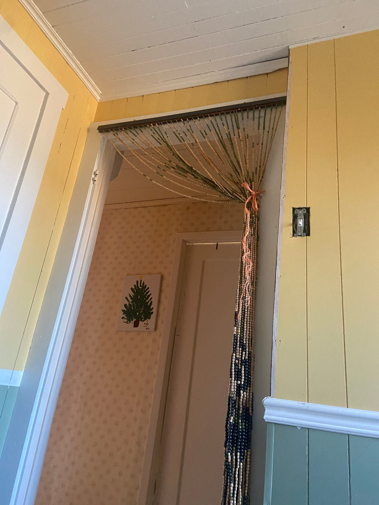 Beaded Door Curtain
