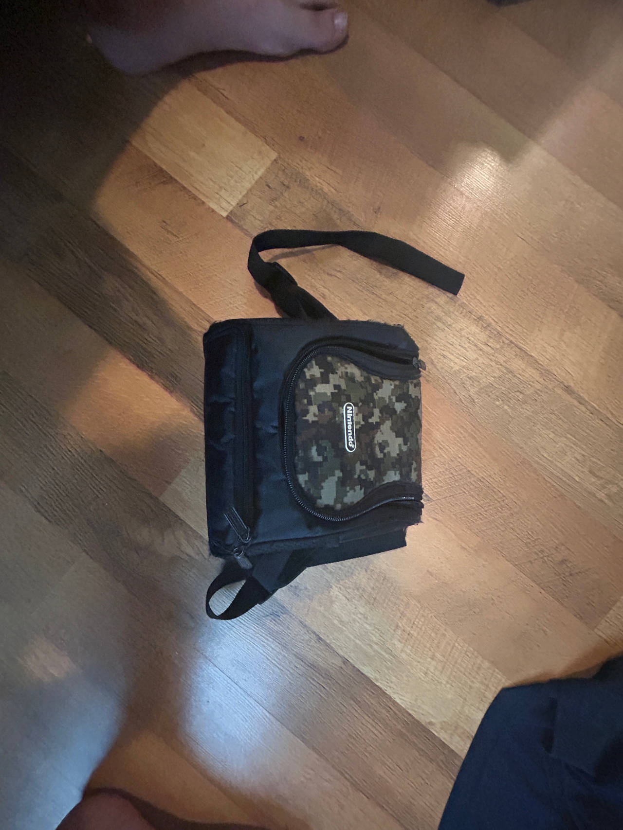 Nintendo DS Carrying Case