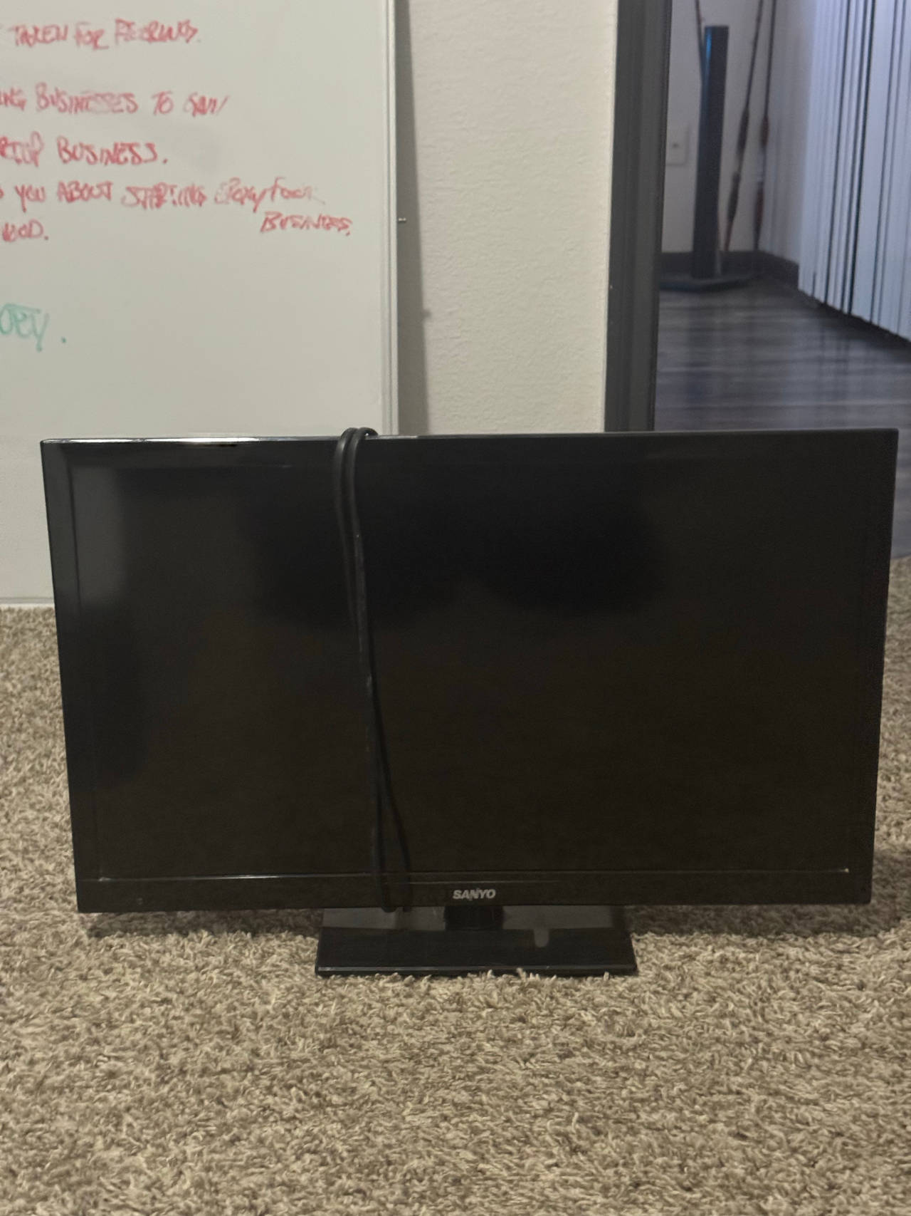 Sanyo 19" Class 720p LED LCD TV