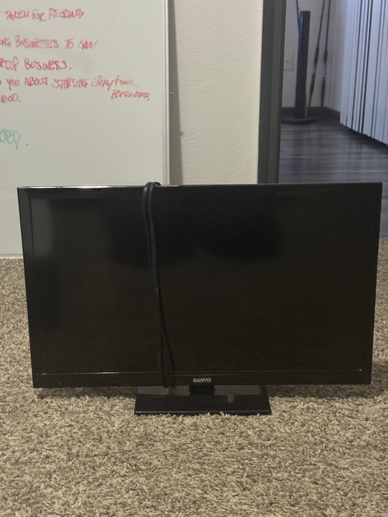 Sanyo 19" Class 720p LED LCD TV