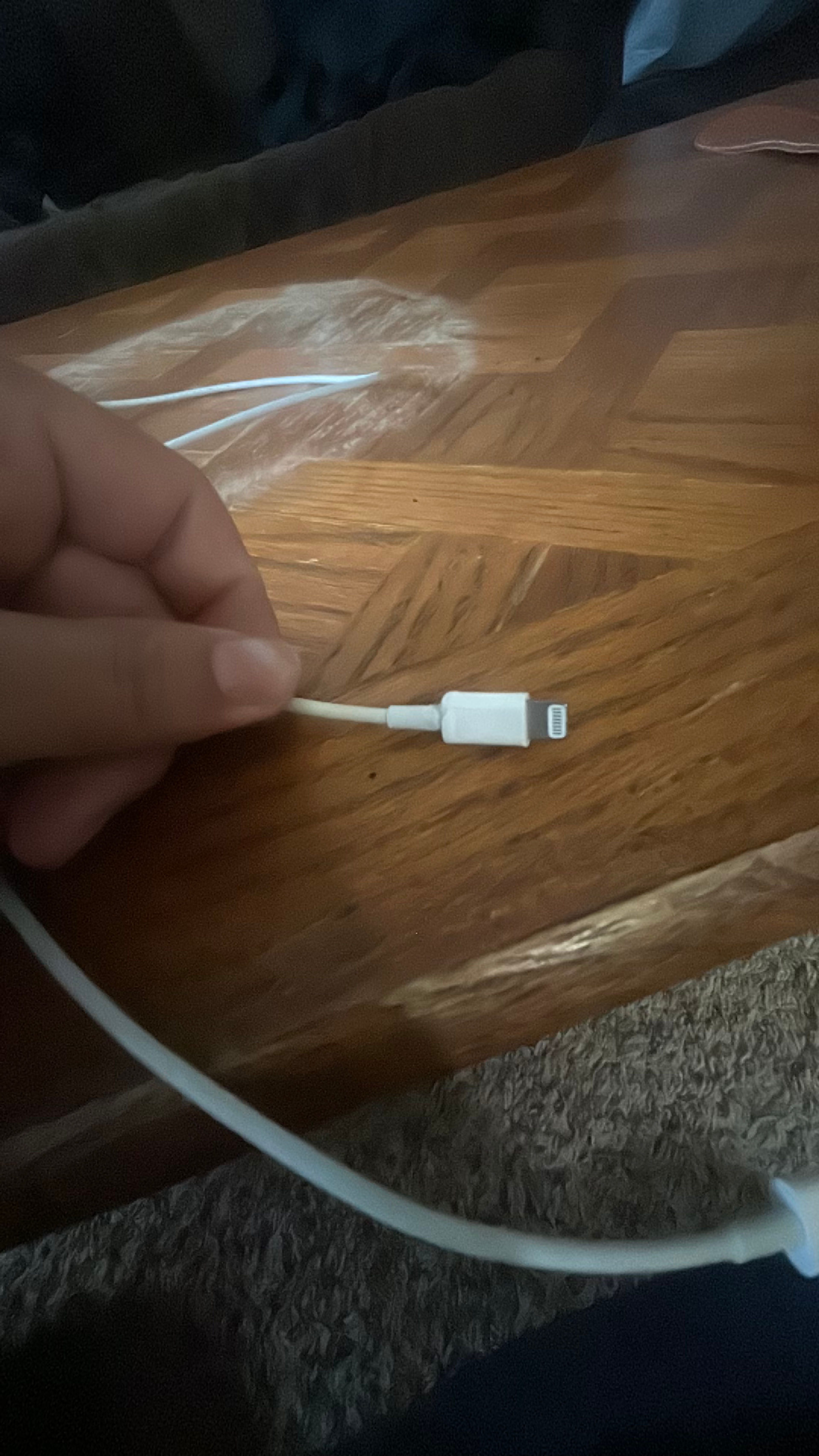 Apple USB-C to Lightning Cable - Image 2