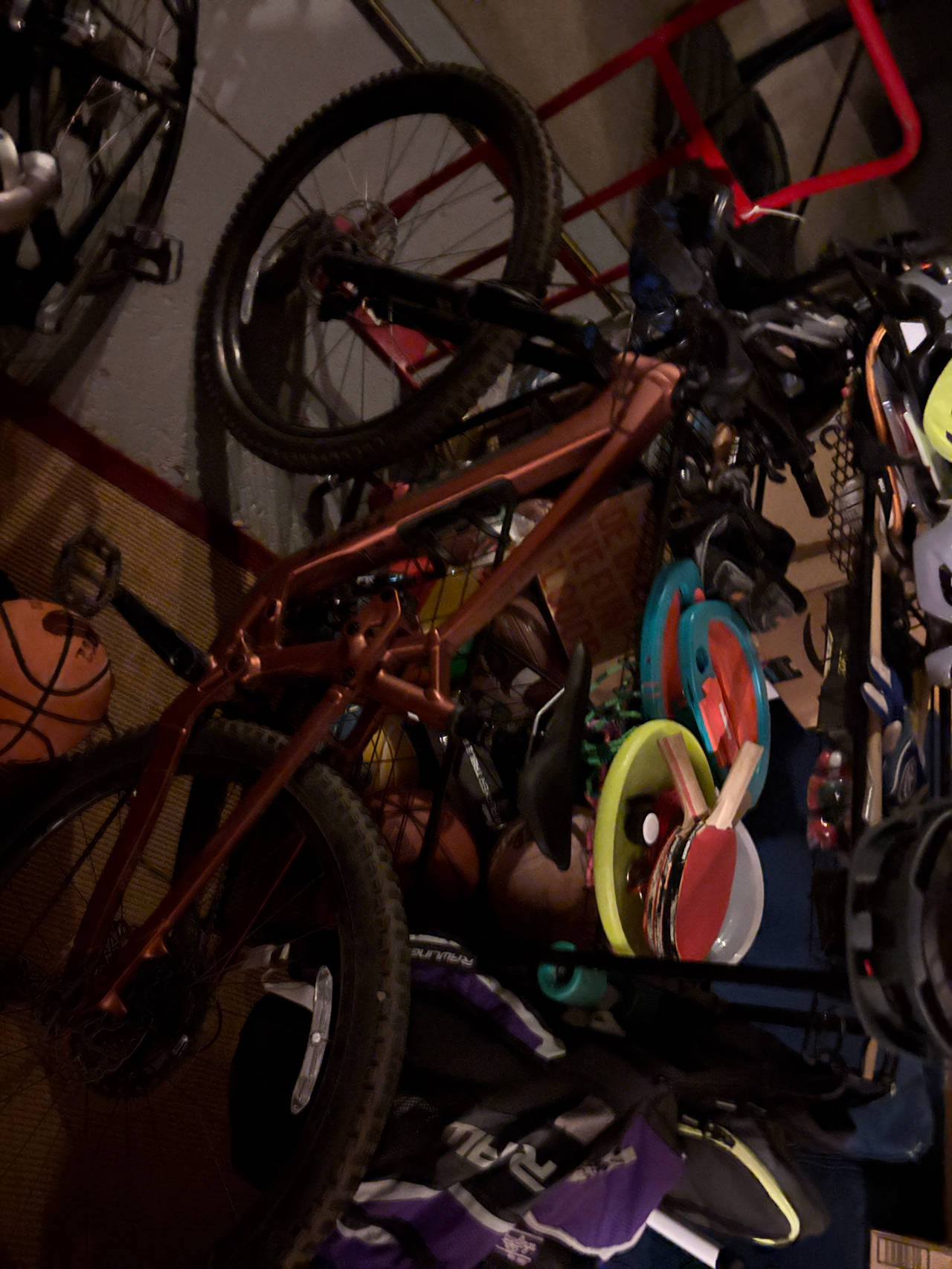 Mountain Bike