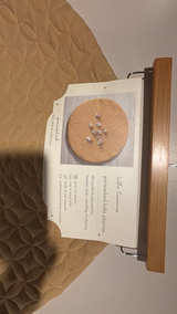 Infant Play/Tummy Time Mat: Beige (New w/ Tags) $25.00 - Image 1