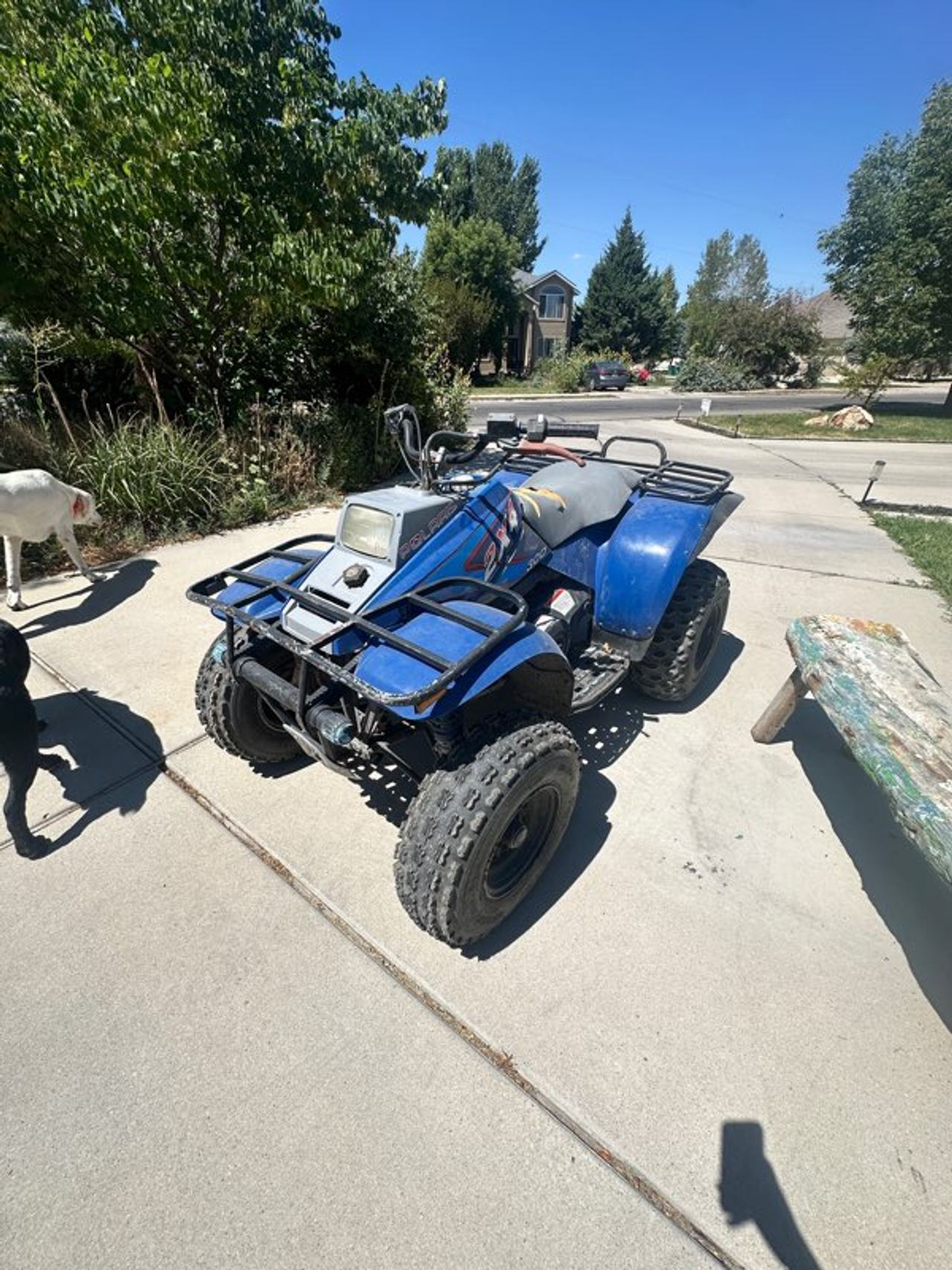 Yamaha Polaris ATV 300