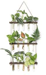 Mkono Plant Propagation Tubes, 3 Tiered Wall ( 5 Tubes Missing ) - Image 1