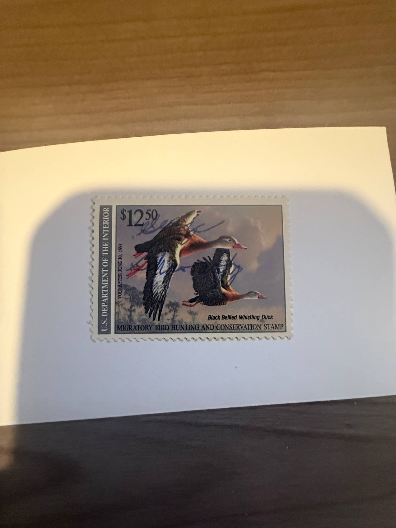 1990-1991 $12.50 Federal Duck Stamp (RW57)