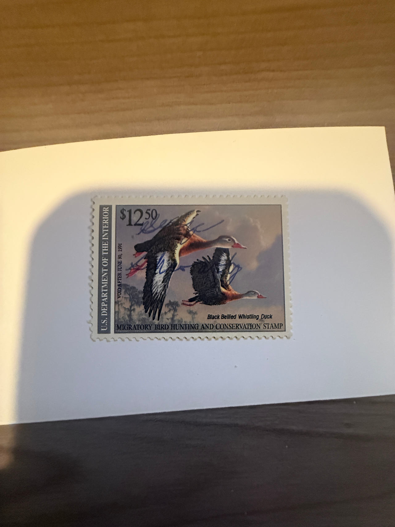 1990-1991 $12.50 Federal Duck Stamp (RW57)