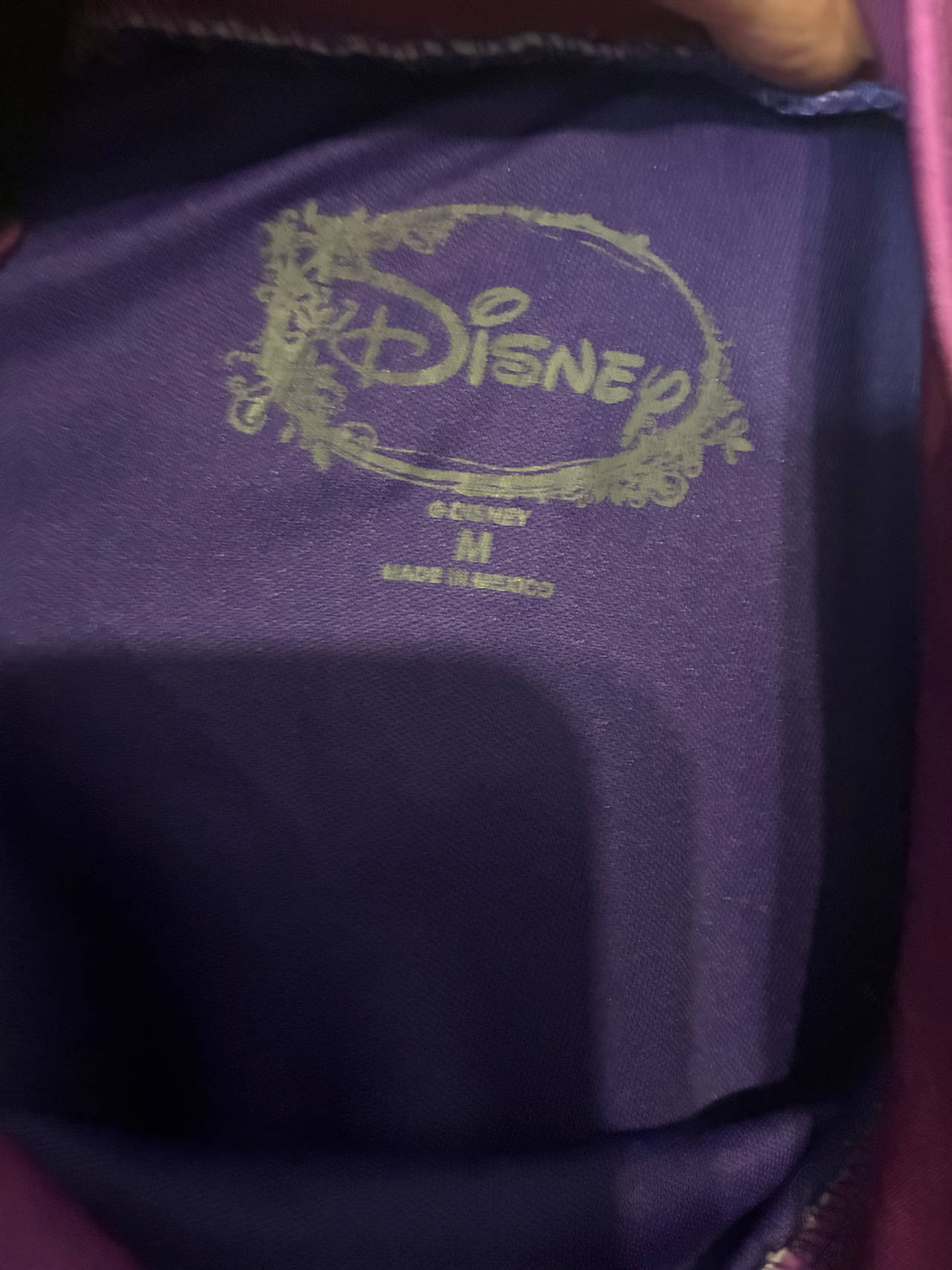 Disney Costume Dress
