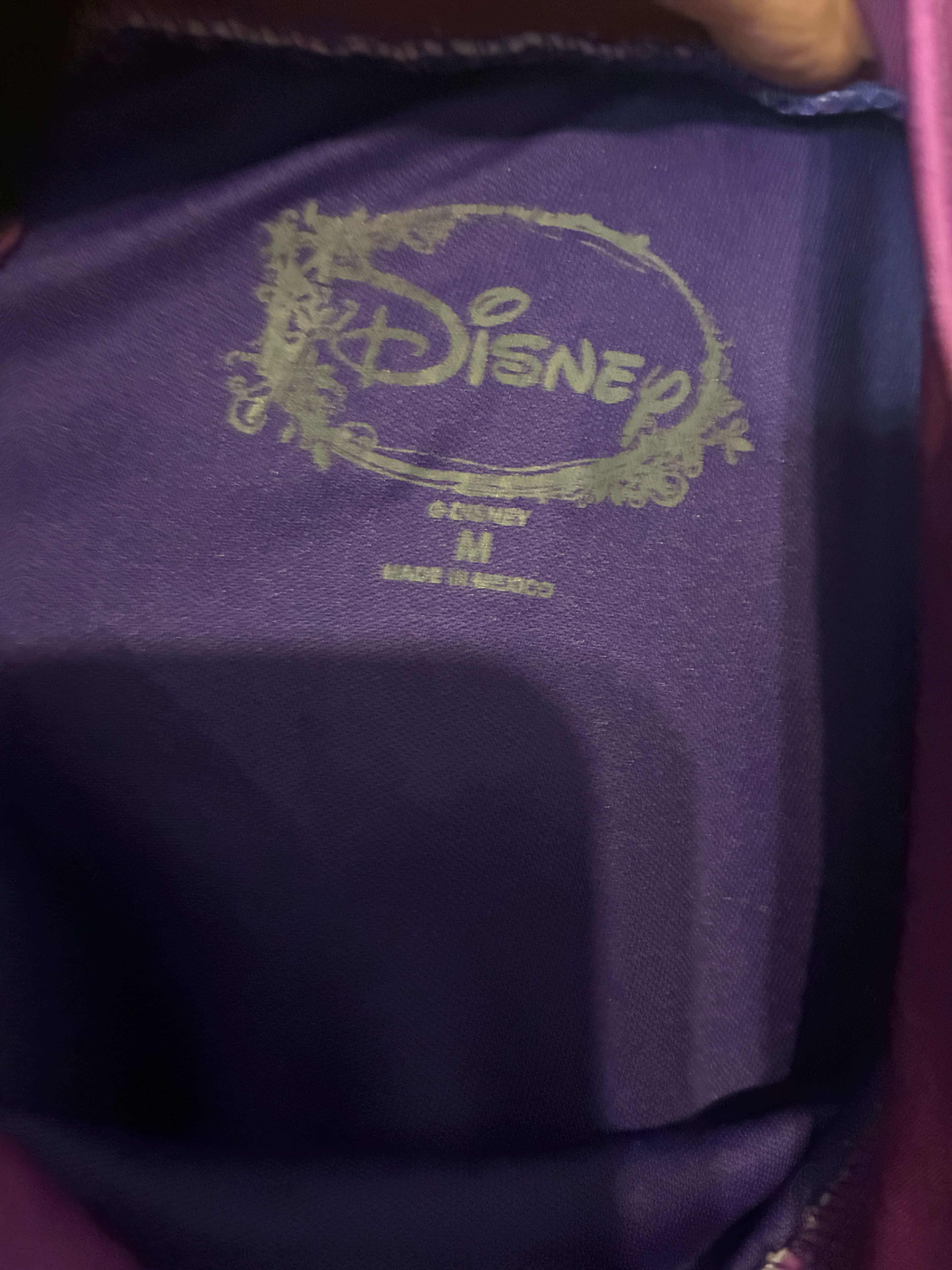 Disney Costume Dress