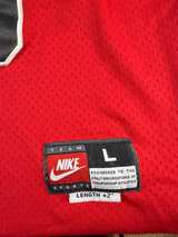 Vintage Nike Team Chicago Bulls Michael Jordan #23 Jersey Early 2000s Size L +2 - Image 3