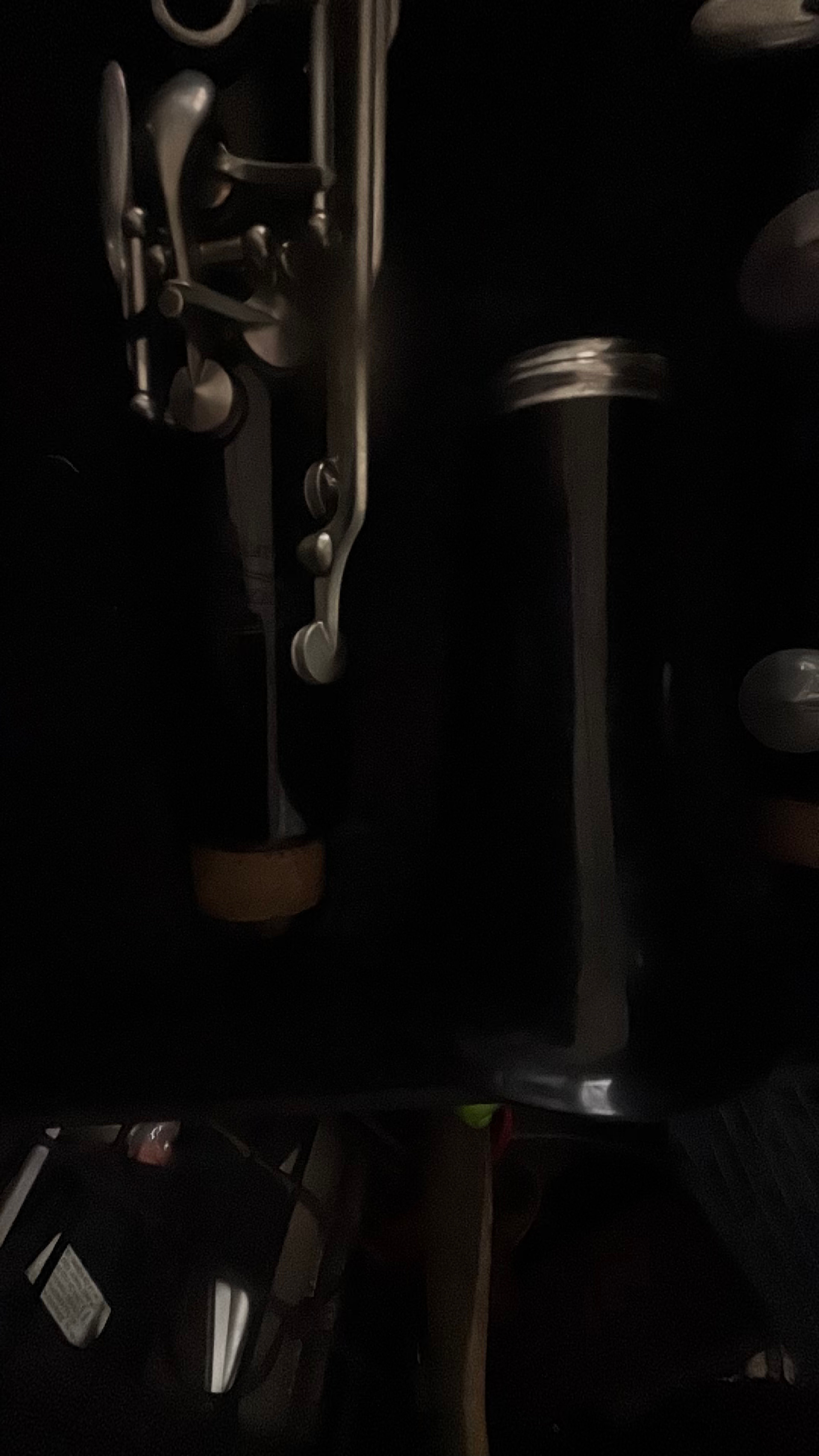 Buffet Crampon Professional Bb Clarinet - Image 4