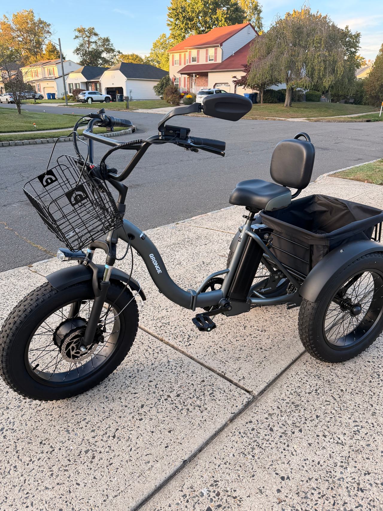 Electric Fat Tire Adult Tricycle