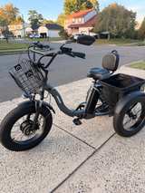 Electric Fat Tire Adult Tricycle - Image 1