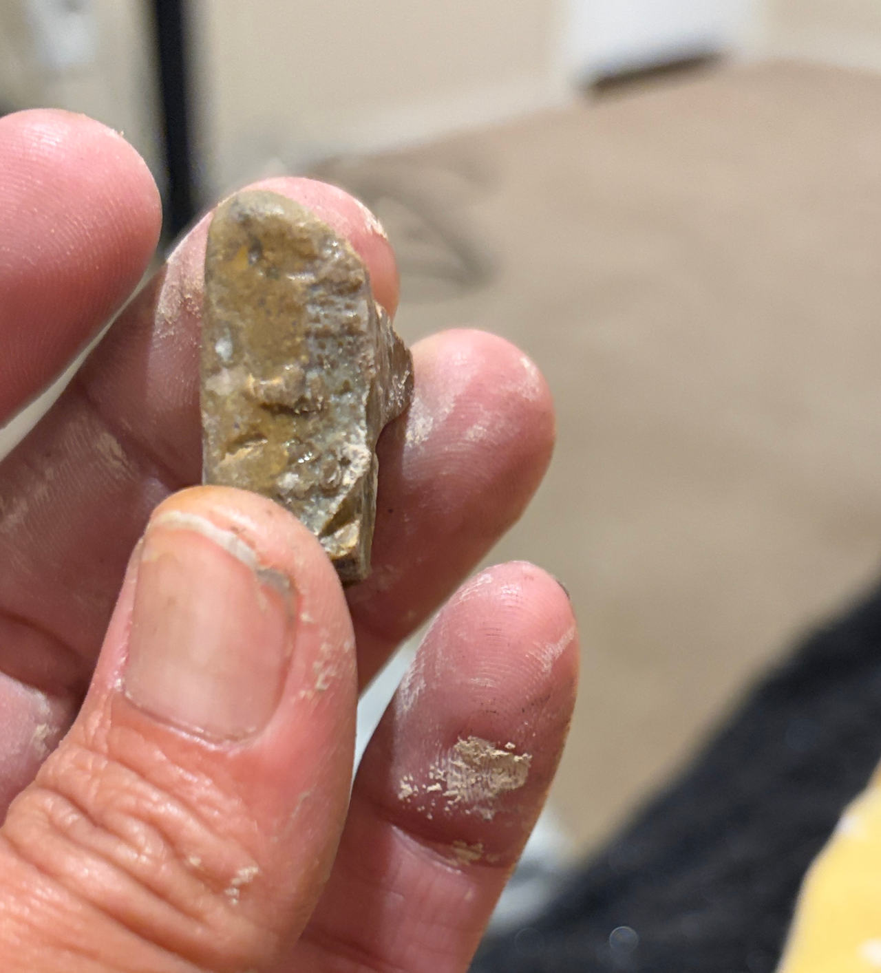 Native American Lithic Flake Artifact