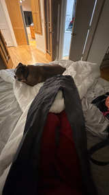 Revolve Black Skinny Jeans - Image 4
