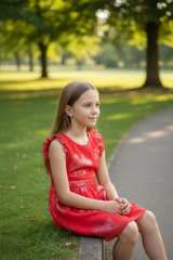 Three pink hearts  Girls Red Floral Ruffle Dress - Image 8