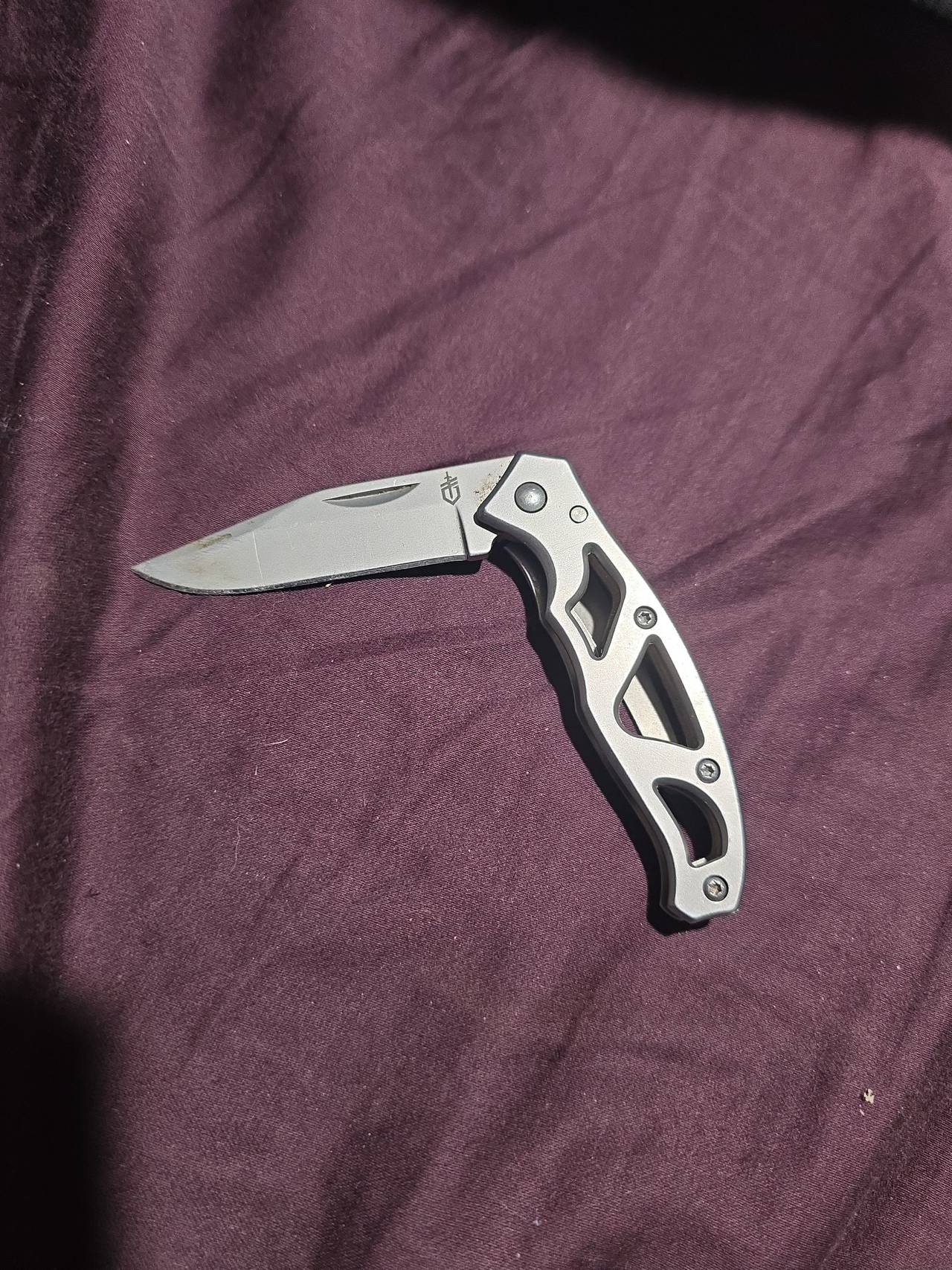 Gerber Paraframe Mini Folding Knife