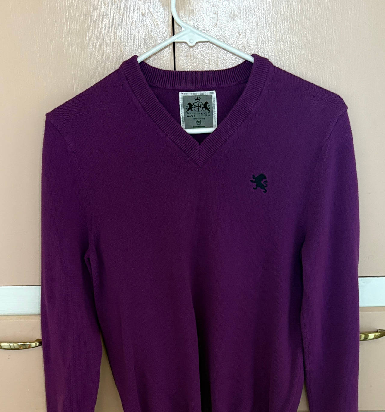 Express Men's Cotton V-Neck Sweater