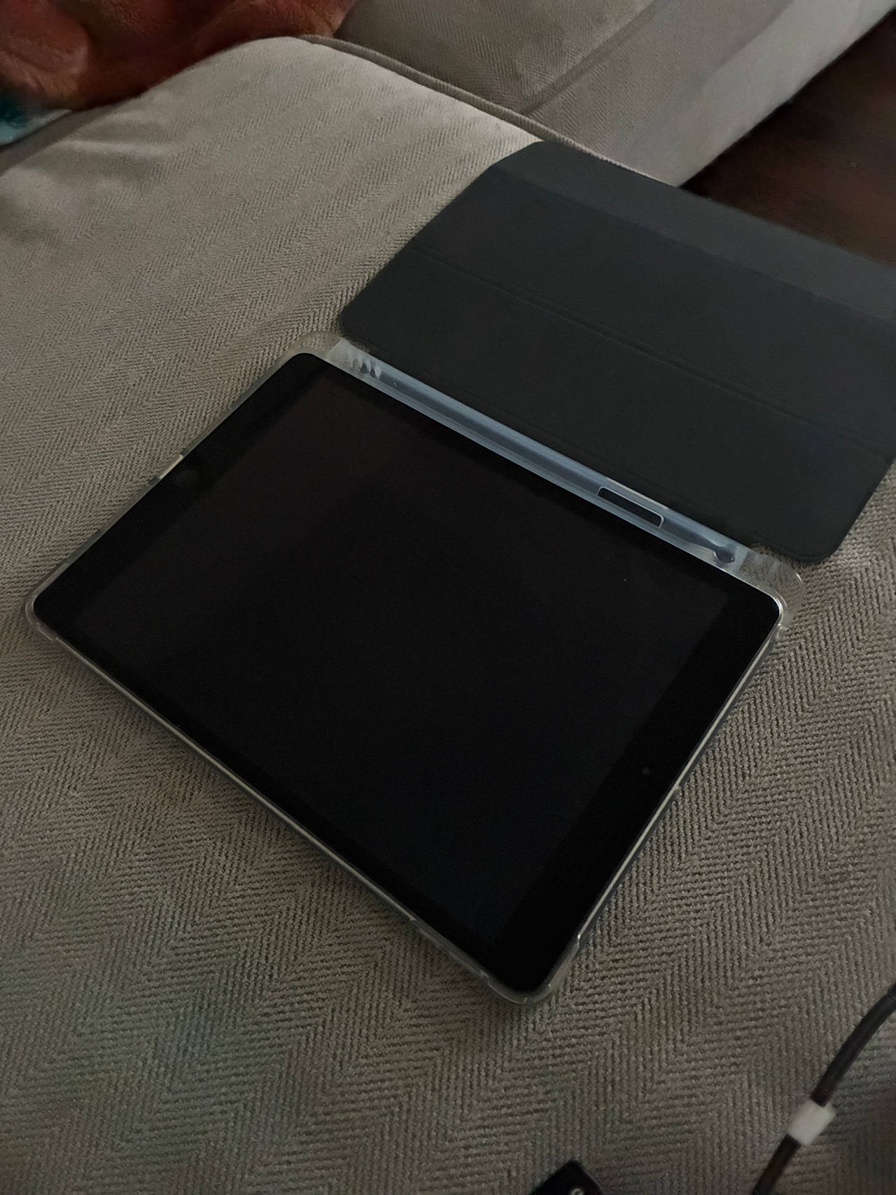 Apple iPad
