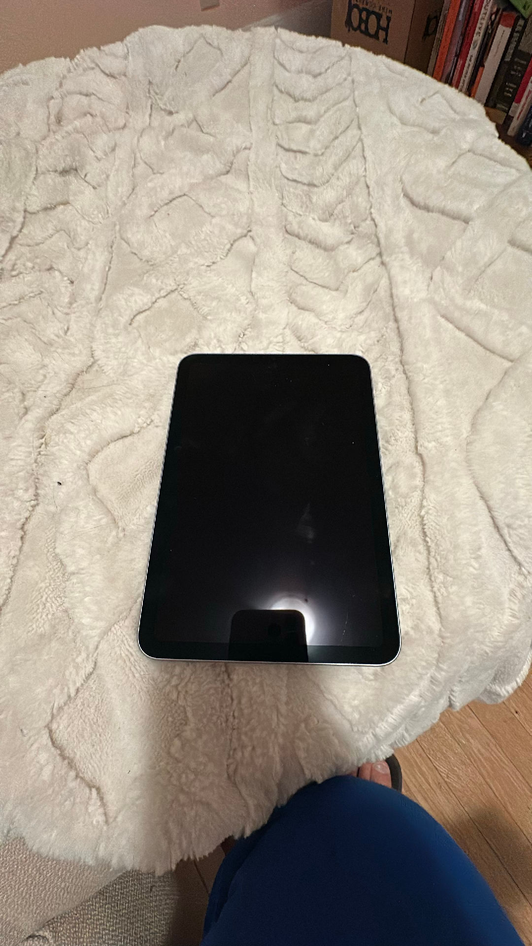 Apple iPad