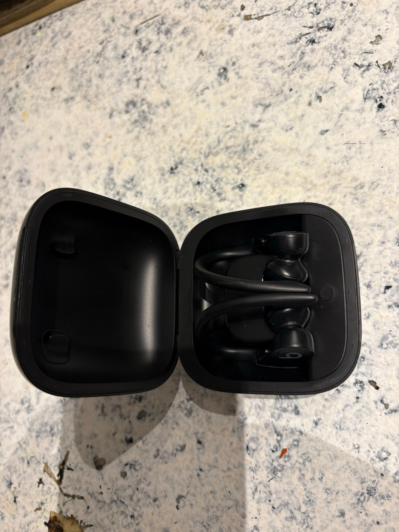 Beats Powerbeats Pro Totally Wireless Earphones