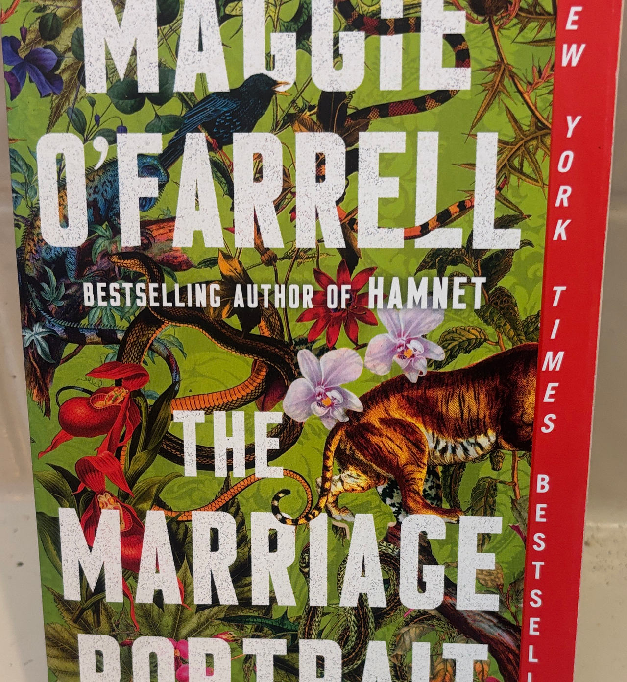 The Marriage Portrait by Maggie O'Farrell