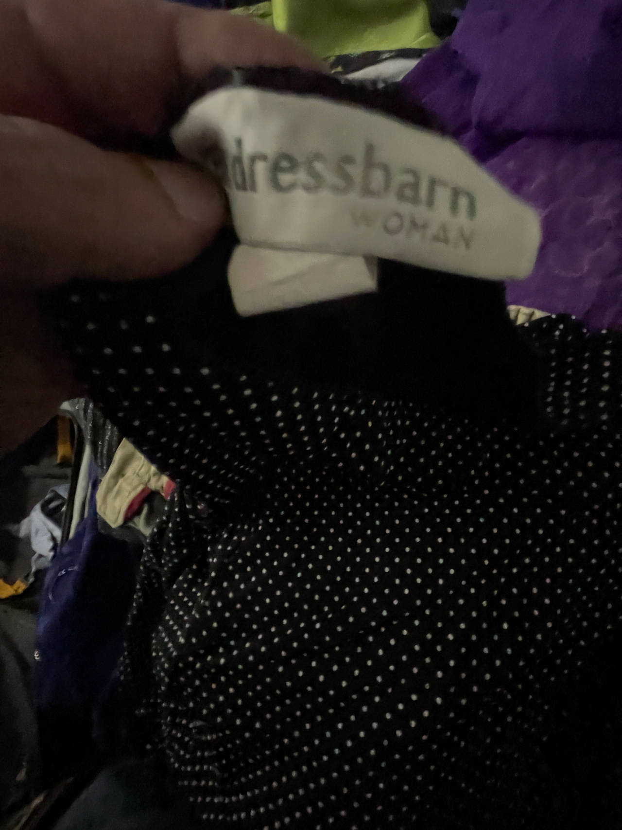 Dressbarn Woman Polka Dot Dress