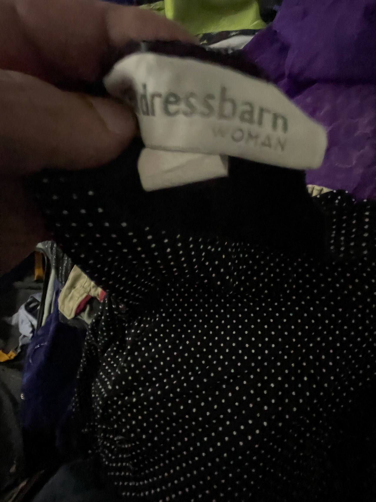 Dressbarn Woman Polka Dot Dress