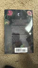 Dark and Shallow Lies by Ginny Myers Sain - Image 2